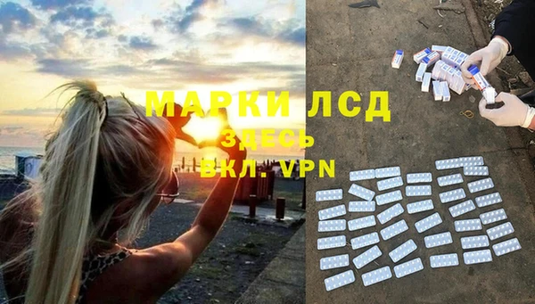 мяу мяу кристалл Корсаков