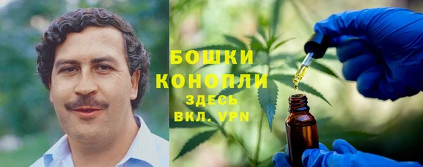 spice Алексеевка